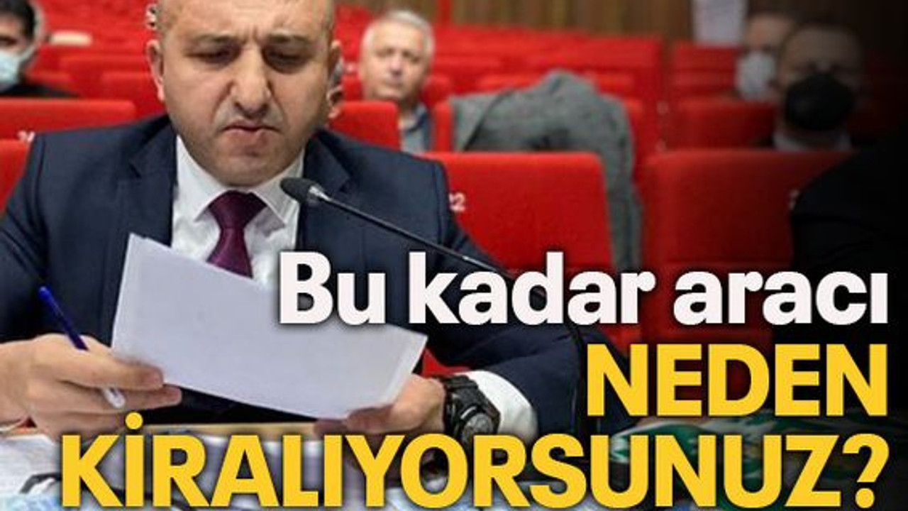 Bu kadar aracı neden kiralıyorsunuz?